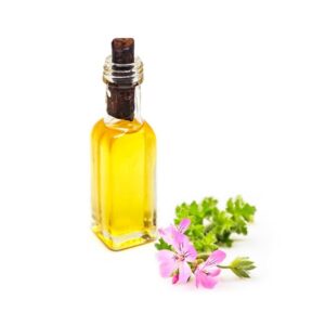 Citronella Oil 50 ml